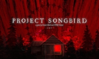 心理恐怖游戏《Project Songbird》3月26日发售 - 文章配图