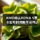 AMD确认RDNA 5显卡发布时间晚于英伟达RTX 60系列（图2）