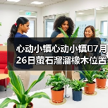 心动小镇心动小镇⭐7月26日萤石溜溜橡木位置攻略（图2）