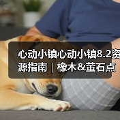 心动小镇心动小镇8.2资源指南｜橡木&萤石点位速码 - 文章配图