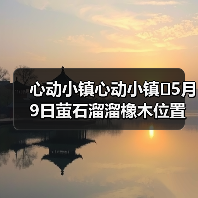 心动小镇心动小镇⭐5月9日萤石溜溜橡木位置攻略 - 文章配图