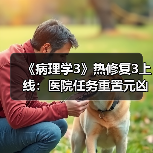 《病理学3》热修复3上线：医院任务重置元凶已修复！（图2）