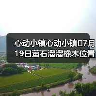 心动小镇心动小镇⭐7月19日萤石溜溜橡木位置攻略 - 文章配图