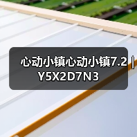 心动小镇心动小镇7.2｜Y5X2D7N3（图4）