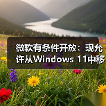 微软有条件开放：现允许从Windows 11中移除Copilot - 文章配图