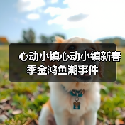 心动小镇心动小镇新春季金鸿鱼潮事件（图2）