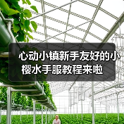 心动小镇新手友好的小樱水手服教程来啦（图2）