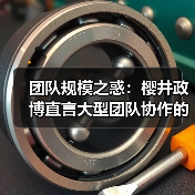 团队规模之惑：樱井政博直言大型团队协作的沮丧真相（图3）