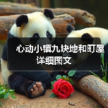 心动小镇九块地和町屋详细图文 - 文章配图