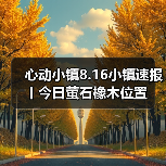 心动小镇8.16小镇速报丨今日萤石橡木位置（图4）