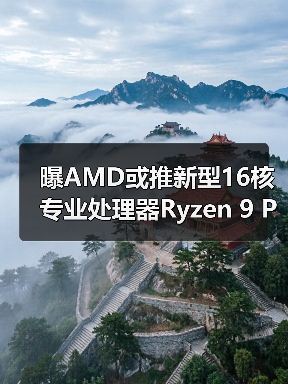 曝AMD或推新型16核专业处理器Ryzen 9 PRO 9965X3D（图3）