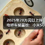 2025年20万元以上纯电轿车销量榜：小米SU7荣耀登顶！（图4）