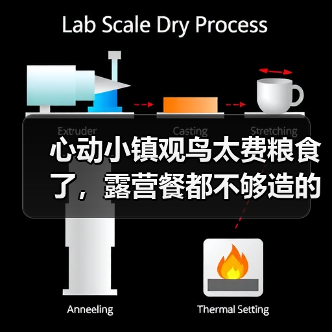 心动小镇观鸟太费粮食了，露营餐都不够造的～（图2）