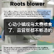 心动小镇观鸟太费粮食了，露营餐都不够造的～（图4）