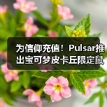 为信仰充值！Pulsar推出宝可梦皮卡丘限定鼠标套装！ - 文章配图