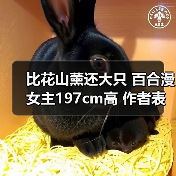 比花山薰还大只 百合漫女主197cm高 作者表示大脑混乱 - 文章配图