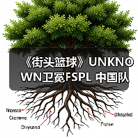 《街头篮球》UNKNOWN卫冕FSPL 中国队剑指国际赛事 - 文章配图