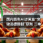 ‌国内首例AI涉黄案
