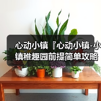 心动小镇『心动小镇-小镇稚趣园前提简单攻略』 - 文章配图