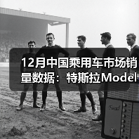 12月中国乘用车市场销量数据：特斯拉Model Y稳居第一 - 文章配图