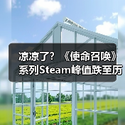 凉凉了?《使命召唤》系列Steam峰值跌至历史新低!(图3) 凉凉了?《使命召唤》系列Steam峰值跌至历史新低!(图3)