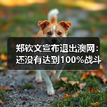 郑钦文宣布退出澳网:还没有达到100%战斗状态(图4) 郑钦文宣布退出澳网:还没有达到100%战斗状态(图4)