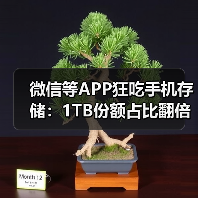 微信等APP狂吃手机存储:1TB份额占比翻倍 64GB要绝迹了(图2) 微信等APP狂吃手机存储:1TB份额占比翻倍 64GB要绝迹了(图2)