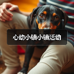 心动小镇小镇活动(图3) 心动小镇小镇活动(图3)