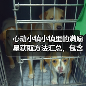 心动小镇小镇里的满愿星获取方法汇总,包含近期活动(图3) 心动小镇小镇里的满愿星获取方法汇总,包含近期活动(图3)