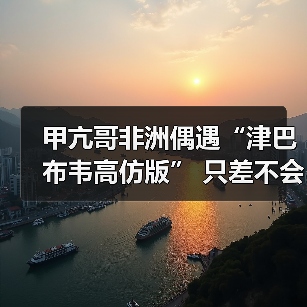 甲亢哥非洲偶遇“津巴布韦高仿版” 只差不会翻跟头(图2) 甲亢哥非洲偶遇“津巴布韦高仿版” 只差不会翻跟头(图2)