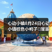 心动小镇8月24日心动小镇棕色小鸭子➕溜溜木➕萤石(图4) 心动小镇8月24日心动小镇棕色小鸭子➕溜溜木➕萤石(图4)