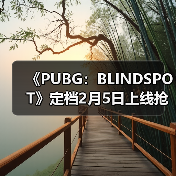《PUBG:BLINDSPOT》定档2月5日上线抢先体验版(图3) 《PUBG:BLINDSPOT》定档2月5日上线抢先体验版(图3)