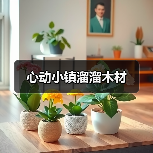 心动小镇溜溜木材(图4) 心动小镇溜溜木材(图4)