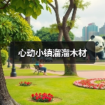 心动小镇溜溜木材 - 文章配图