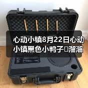 心动小镇8月22日心动小镇黑色小鸭子➕溜溜木➕萤石 - 文章配图