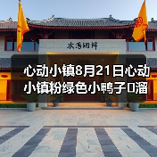 心动小镇8月21日心动小镇粉绿色小鸭子➕溜溜木➕萤石 - 文章配图