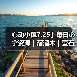 心动小镇7.25」每日必拿资源｜溜溜木｜萤石位置一览 - 文章配图