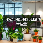 心动小镇5月20日溜溜木位置(图2) 心动小镇5月20日溜溜木位置(图2)
