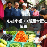 心动小镇8.1溜溜木萤石位置 - 文章配图