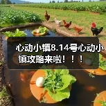 心动小镇8.14号心动小镇攻略来啦！！！ - 文章配图
