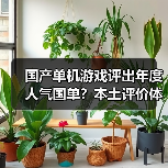 国产单机游戏评出年度人气国单?本土评价体系开启(图2) 国产单机游戏评出年度人气国单?本土评价体系开启(图2)