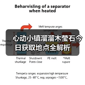 心动小镇溜溜木莹石今日获取地点全解析 - 文章配图