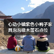 心动小镇紫色小鸭子家具泡泡橡木萤石点位（图4）