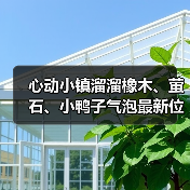 心动小镇溜溜橡木、萤石、小鸭子气泡最新位置（图4）