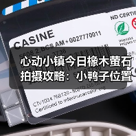 心动小镇今日橡木萤石拍摄攻略：小鸭子位置全解析（图4）