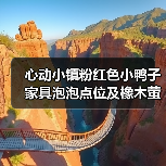 心动小镇粉红色小鸭子家具泡泡点位及橡木萤石获取时间（图2）