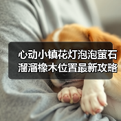 心动小镇花灯泡泡萤石溜溜橡木位置最新攻略合集（图3）