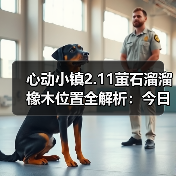 心动小镇2.11萤石溜溜橡木位置全解析：今日获取指南（图4）