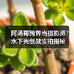 阿汤哥跨界当摄影师？水下光剑战实拍揭秘（图3）