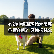 心动小镇溜溜橡木最新位置在哪？灵橡松林公交站附近！（图1）